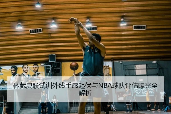 林葳夏联试训外线手感起伏与NBA球队评估曝光全解析